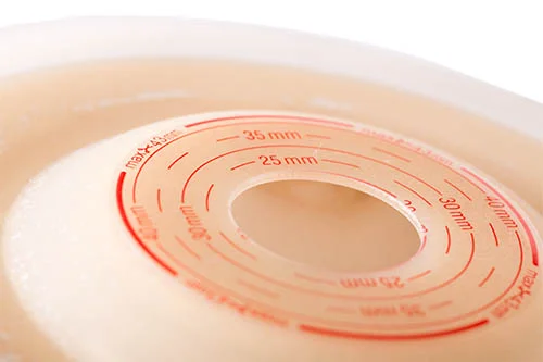 eine Platte mit einem kreisförmigen Gegenstand darauf